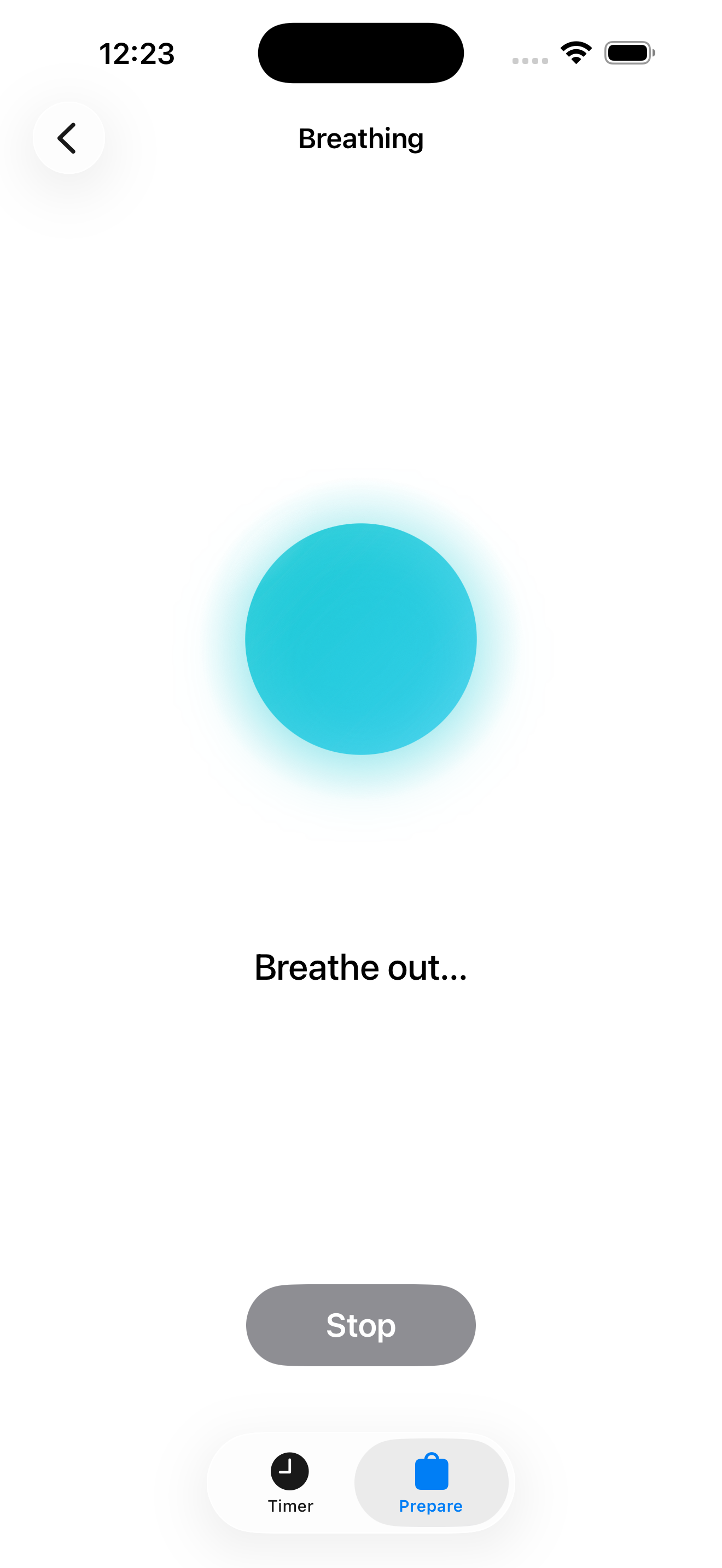 Breathing guide